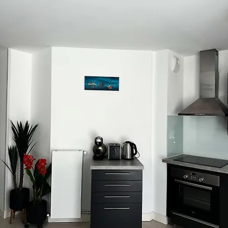 Residence Dignan - Superbe T3 Moderne Au Coeur D'Arcachon, Plage A Pied Mae-9464 * آركاشو