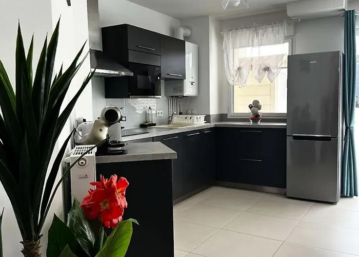 Appartement Résidence Dignan - - T3 Centre-ville Mae-9464